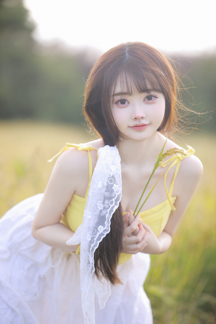 完美的日子